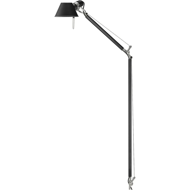 Photo of Tolomeo Reading Floor Lamp