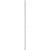 Thumbnail photo of 912 Mirror Medium W: 126 cm - White