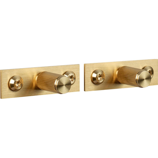 Photo of Buster + Punch - Furniture Knob Plate Linear