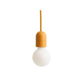 Thumbnail photo of Common Pendant Cord Set