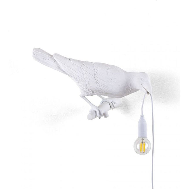 Photo of Bird lamp looks really white outdoors