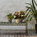 Thumbnail photo of Palissade Bench