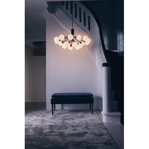 Apiales 18 Chandelier