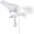 Thumbnail photo of Bird lamp looks really white outdoors