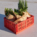 Thumbnail photo of Colour Crate - Medium 26.5x34.5 Cm