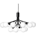 Apiales 18 Chandelier