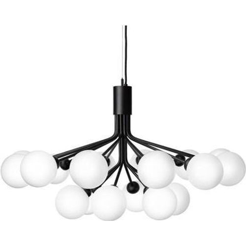 Photo of Apiales 18 Chandelier