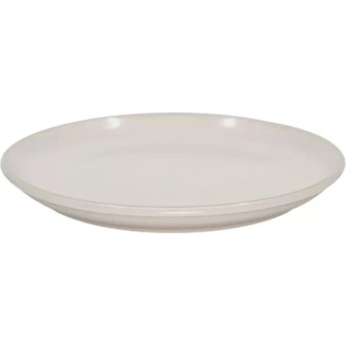 Photo of Dinner Plate