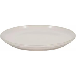 Photo of Dinner Plate