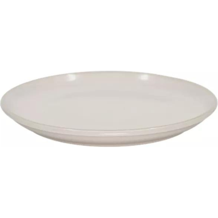 Photo of Dinner Plate