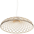 Thumbnail photo of Skynest Pendant S 1
