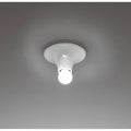 Thumbnail photo of Teti Ceiling Lamp/Wall Lamp
