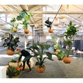 Thumbnail photo of Planteplaneter