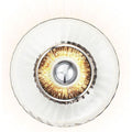 Thumbnail photo of New Wave Optic XL Wall Lamp 1