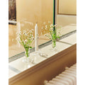 Thumbnail photo of Tiny Vase 7 Cm Clear