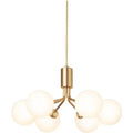 Thumbnail photo of Apiales 6 Chandelier