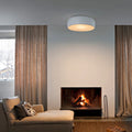 Thumbnail photo of Smithfield C Pro Ceiling Lamp