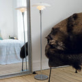 Thumbnail photo of Ph 31/2-21/2 Standing Lamp Chrome
