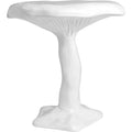 Thumbnail photo of Amanita Table White