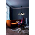Thumbnail photo of Apiales 18 Chandelier