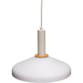 Thumbnail photo of Apollo Hanging Lamp