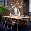 Thumbnail photo of Heracleum III Suspended Pendant Lamp