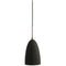 Thumbnail photo of Gräshoppa Pendant Lamp