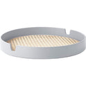 Salon Tray Grey