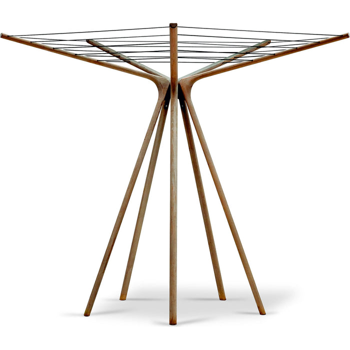 Photo of Spider Web - Anders Brøgger