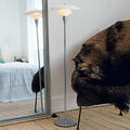 Thumbnail photo of Ph 31/2-21/2 Standing Lamp Chrome