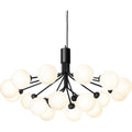 Thumbnail photo of Apiales 18 Chandelier