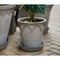 Thumbnail photo of Elizabeth Plant Pot