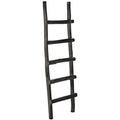 Thumbnail photo of Ladder
