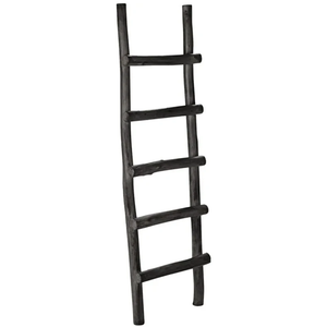 Photo of Ladder