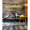 Thumbnail photo of Tia Maria Table