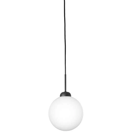 Photo of Apiales 1 Pendant Large