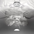 Thumbnail photo of Chlorophilia Pendant Led Crome App
