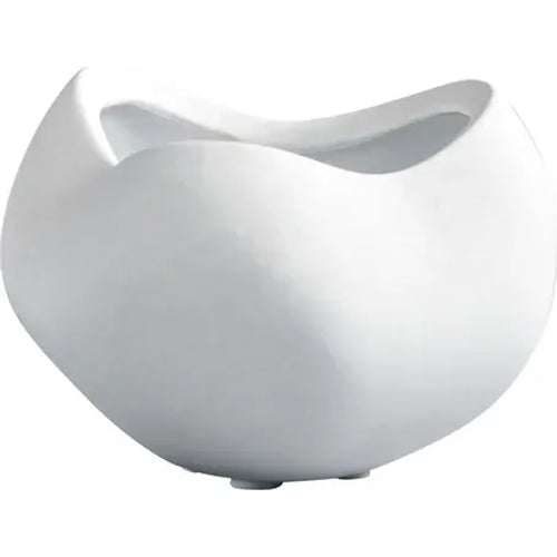 Photo of Curve Bowl Mini