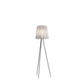 Thumbnail photo of Rosy Angelis Floor Lamp