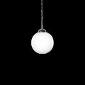 Thumbnail photo of Apiales 1 Pendant Large