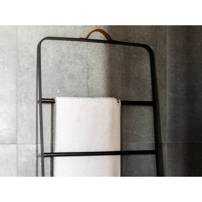 Photo of Towel Ladder