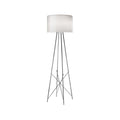 Thumbnail photo of Ray F2 Floor Lamp