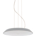 Febe S Led Pendant