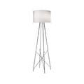 Thumbnail photo of Ray F2 Floor Lamp
